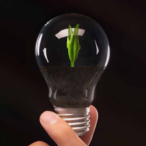 How Do 3D Lamps Work The Frisky