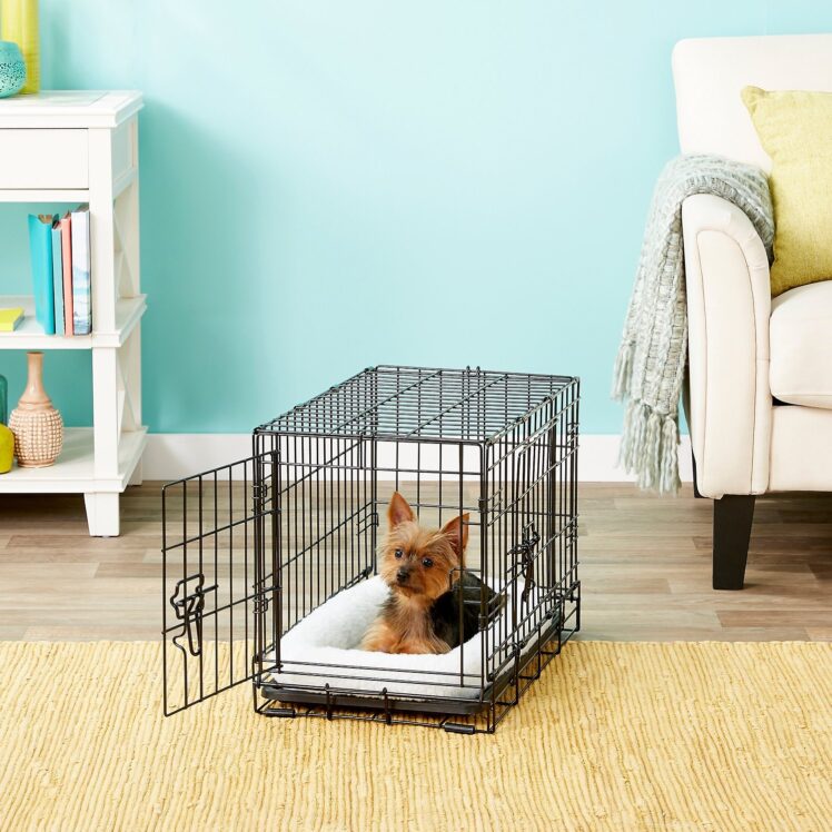 Top 2 Ways to Make A Dog Crate for Your Dog - The Frisky