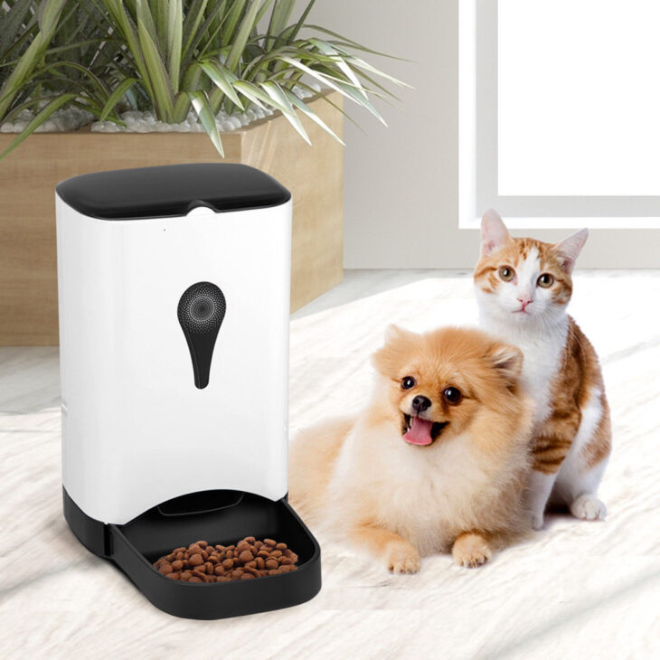 Food Dispensers For Your Pets