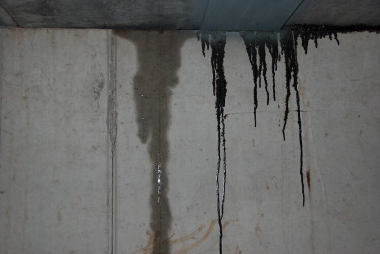 How Do You Tell if Pipes Are Leaking Behind a Wall The Frisky