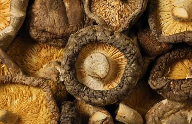 Costco Dried Mushrooms