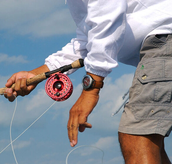 Musthave fishing gear The Frisky