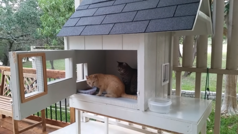 Best Witnter Cat House