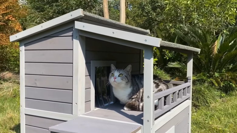 Outdoor Cat Shelter for winter