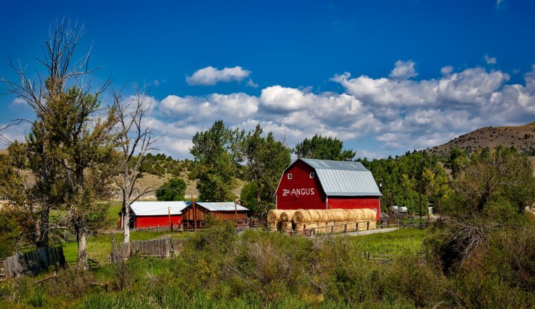 A Helpful Guide to Determining How Much Acreage You Need to Create The ...