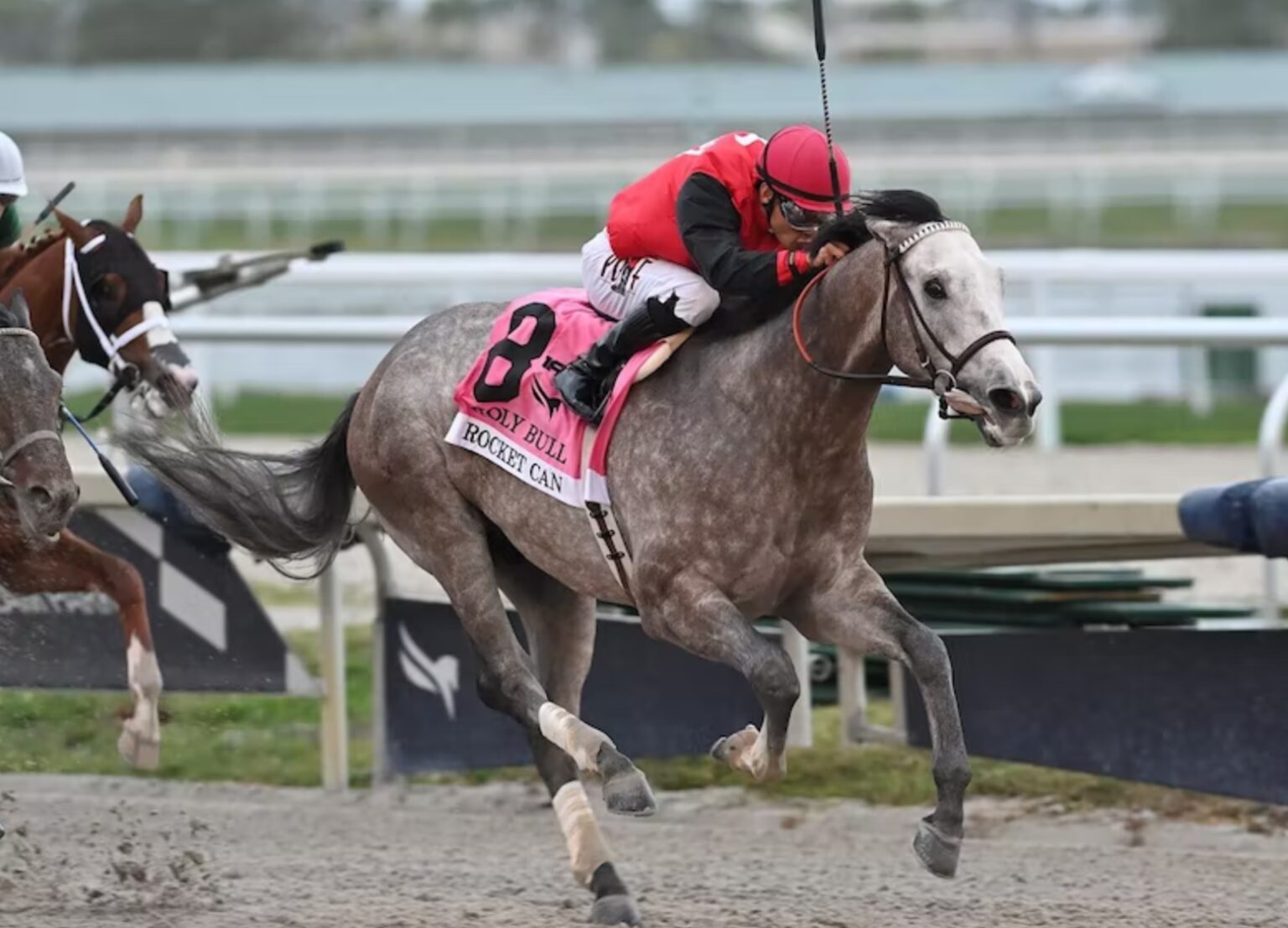 Who Are The Contenders For This Year’s Kentucky Derby? The Frisky