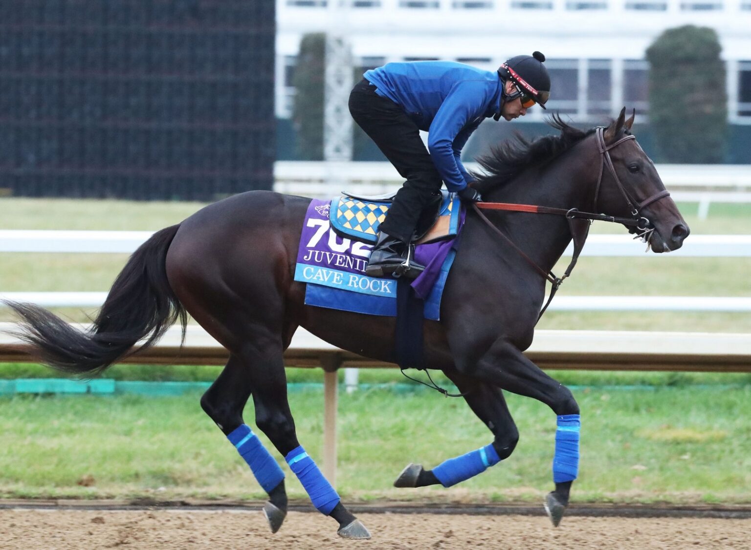 Who Are The Contenders For This Year’s Kentucky Derby? The Frisky