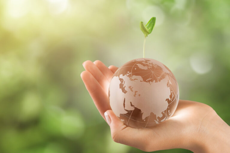 Different Kinds of Sustainable ETFs to Invest In The Frisky