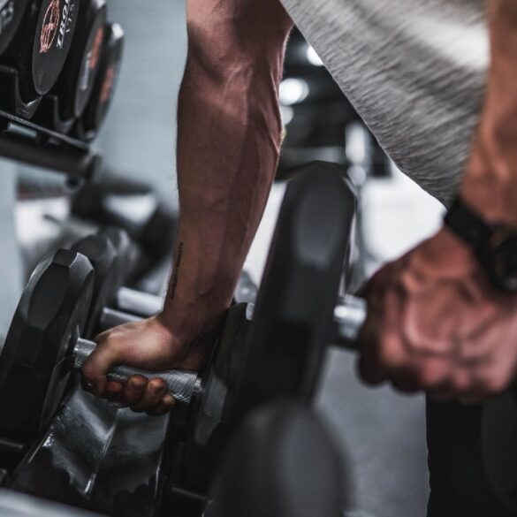 How to Choose the Right Size Crate For Your Dog The Frisky