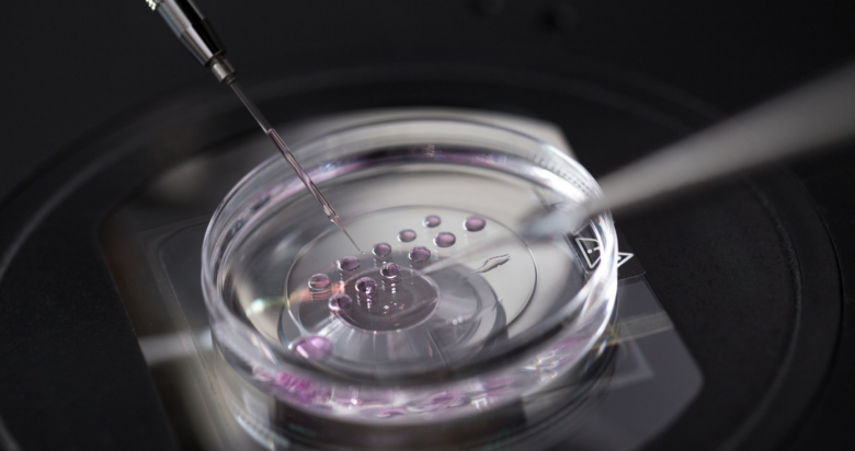 How to Make IVF Successful the First Time - The Frisky