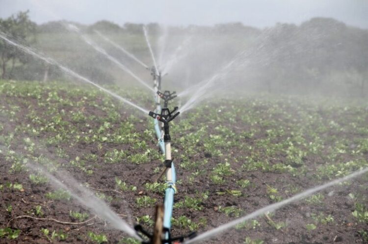 Choose the right type of irrigation