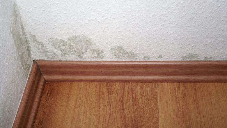 Mold stains cover a wall above a wooden baseboard