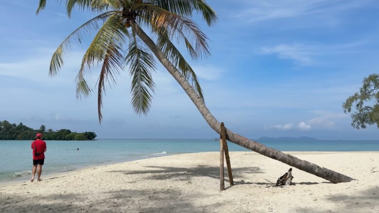 Quiet white-sand beach on Koh Kood with a curved palm tree and calm blue water